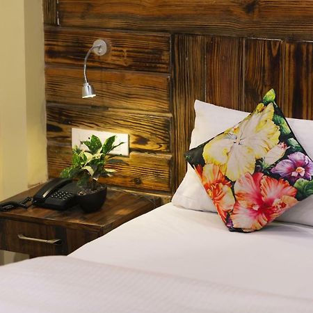 Nirvana Lodge And Lounge Mussoorie Εξωτερικό φωτογραφία